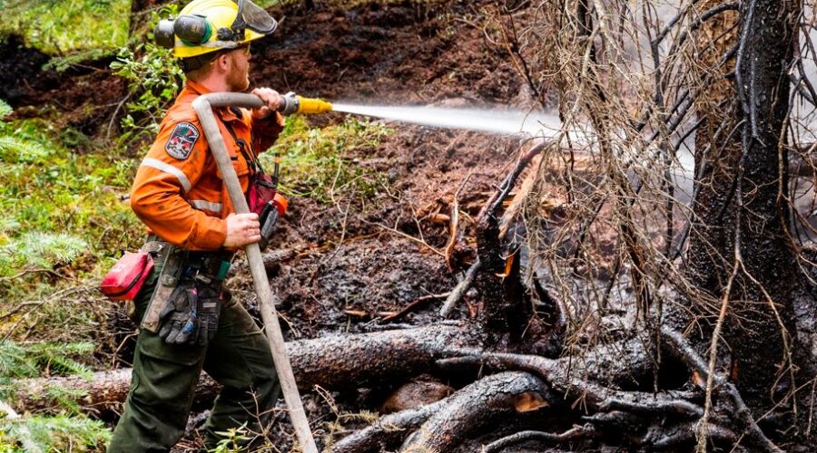 Evacuation order lifted as northwest Ontario wildfire count declines