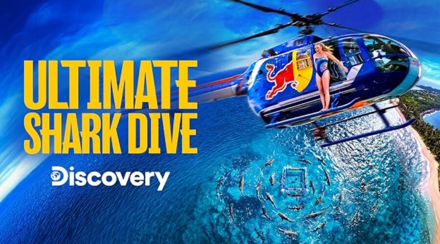 NWO born high diver conquers shark fears with latest dive